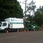 Tree Service Central Coast